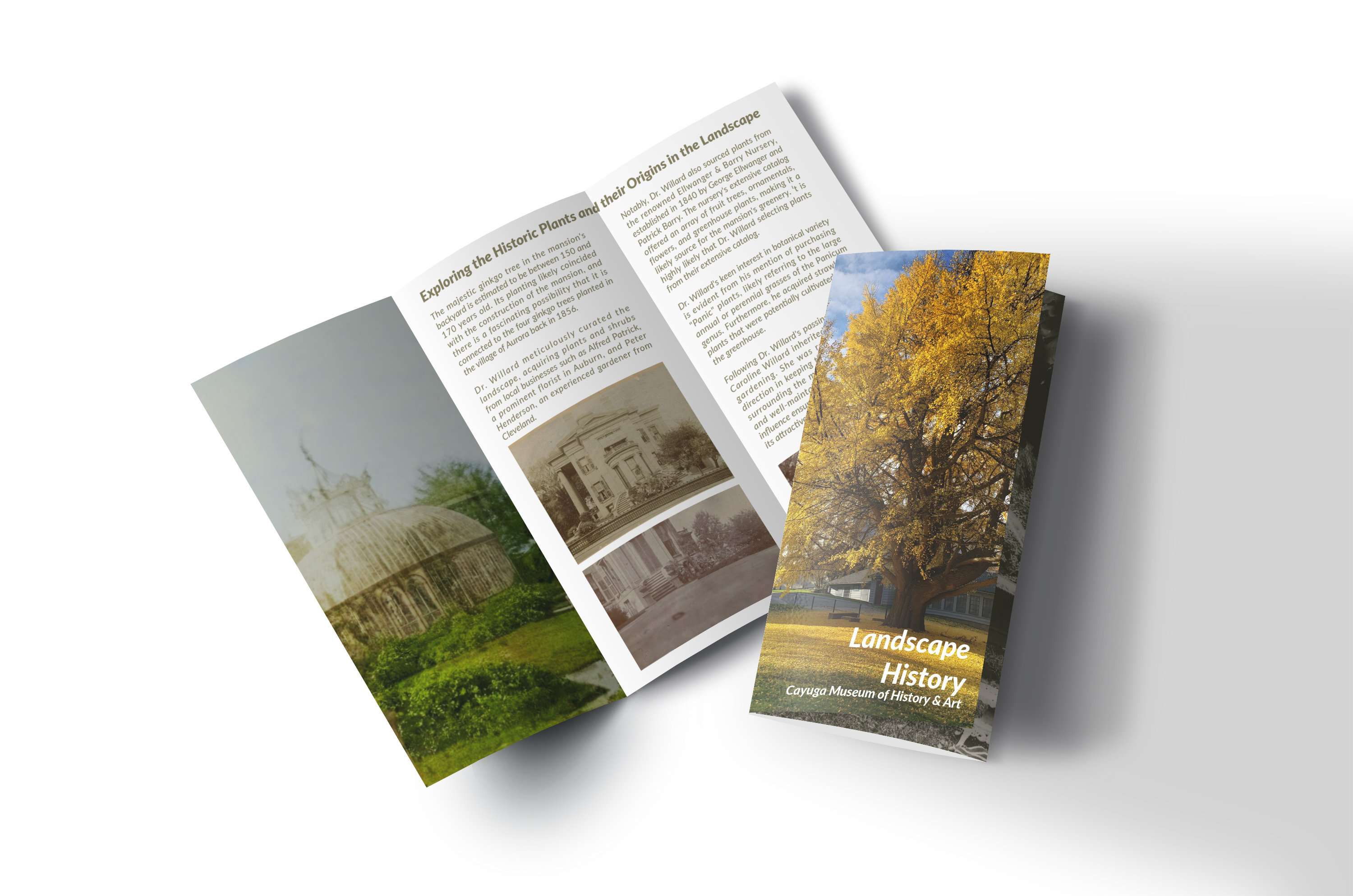Cayuga Museum of History and Art Cultural Landscape Report